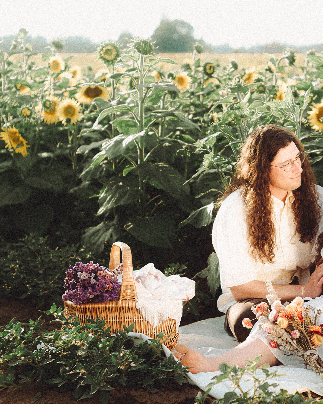 Lovestory Pregnancy Announcement Among the Sunflowers of the Wooden Shoe Tulip Farm — photograph 1 of 39